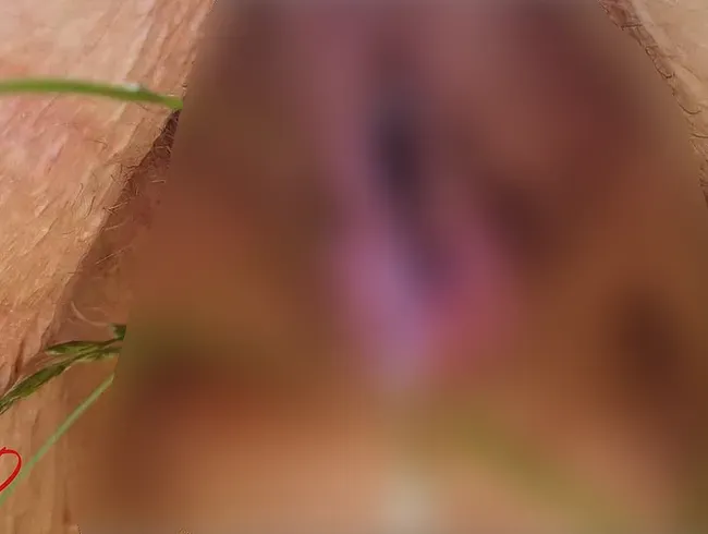 Meine Spermafotze pisst in der Wildnis