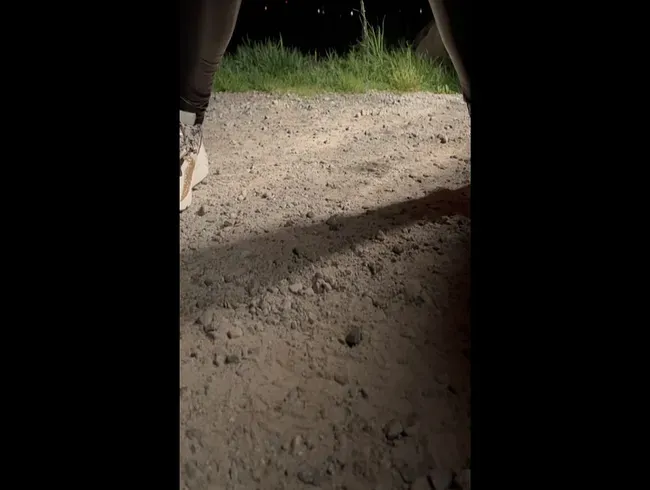 Auf einem Rastplatz gepisst