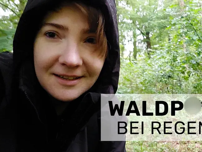 Waldpiss bei Regen