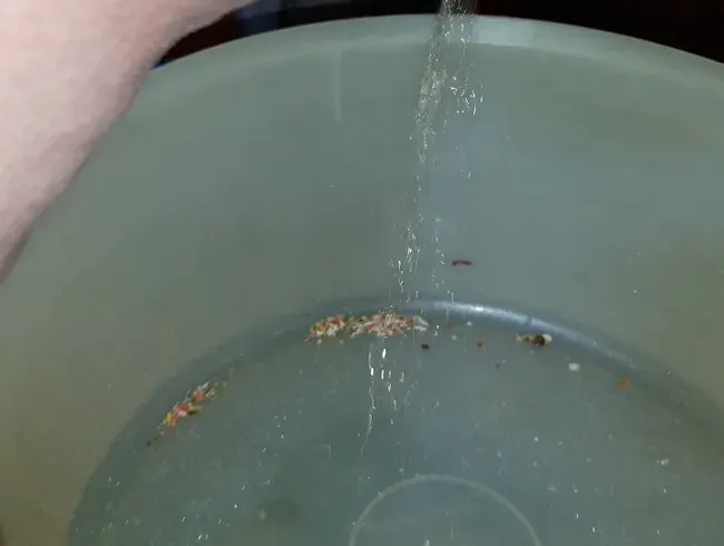 In der Plätzchendose gepinkelt