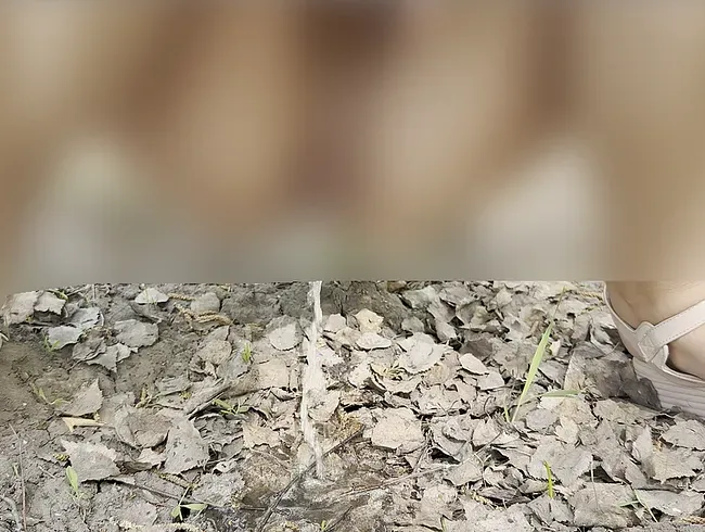 Öffentliche Piss-Zusammenstellung in der Natur! Autofahrt!