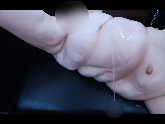 Fettes NS Schweinchen