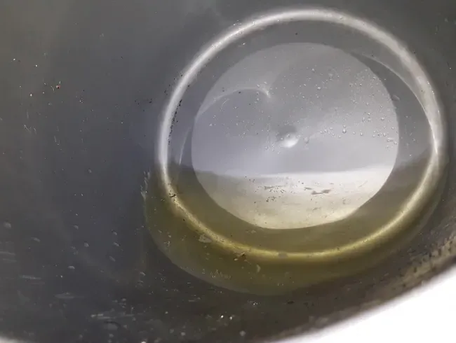 In ihren Putzeimer gepisst