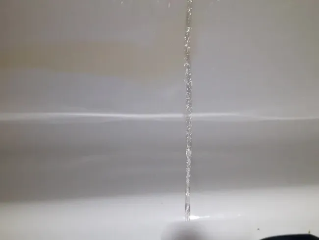 Schluck meine Pisse du Sau