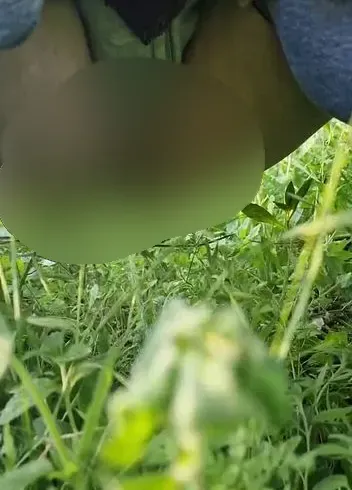 Natur pinkeln ist doch das schönste auf der Welt ?