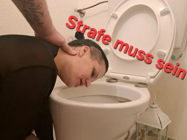 Ich muss die Toilette putzen..