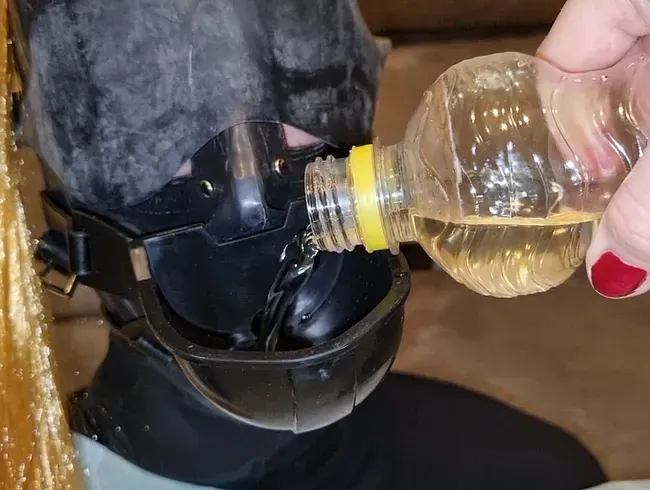 Mein Sub muss meine Pisse trinken - ganz normaler Abend-Drink :)