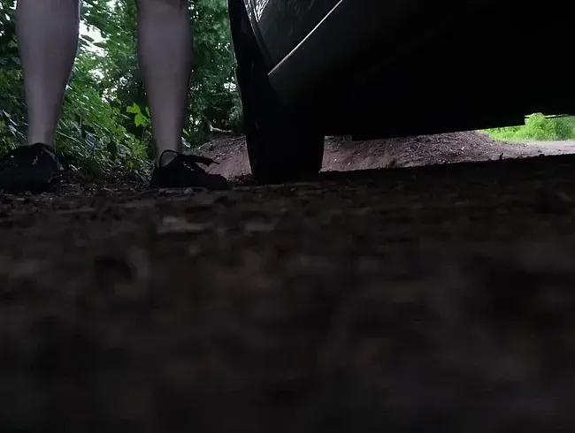 MEGA PISS am Straßenrand