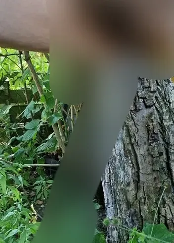 Pissen,Schleim, 8 mal NS laufen lassen