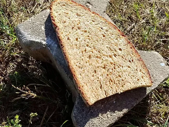 Friss vom Stein, du Pisssklave – ich pisse draußen auf dein Brot!