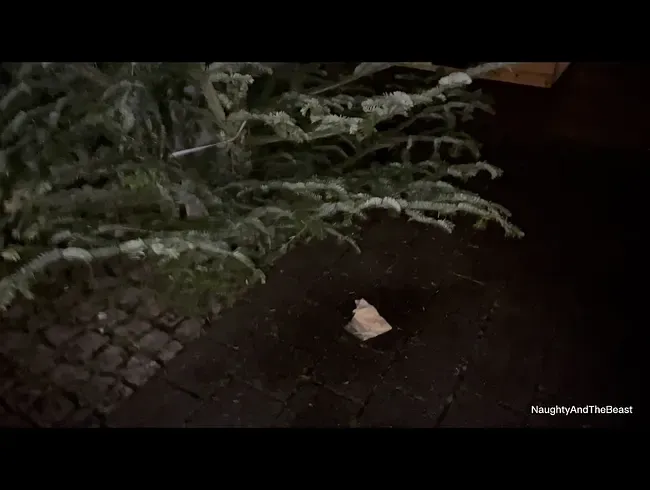 Oh Tannenbaum, Publicpiss ????