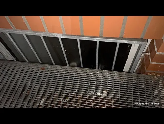 Skandal, vollgepisstes Kellerfenster! Publicpiss(ohne ton)