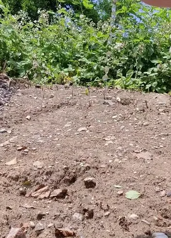 Piss Alarm im Freien