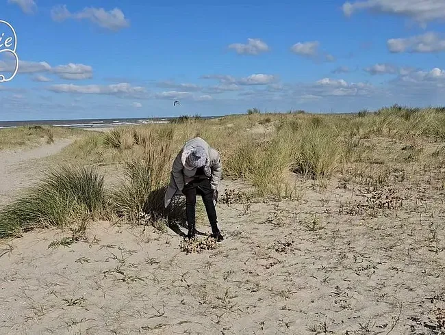 In Holland am Strand und keine Toilette in sicht, aber ich bin ja nicht schüchtern