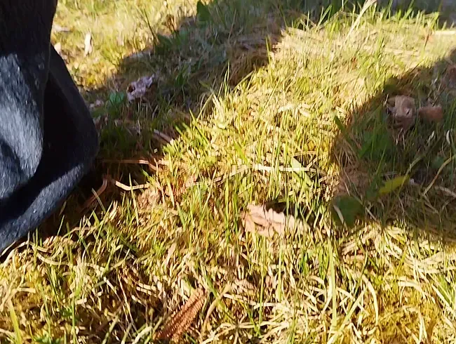 In freier Natur meinem geilen Bedürfnis nachgegeben