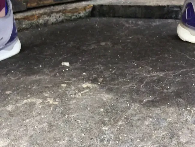 Steinplatte und Bachverlauf :-)