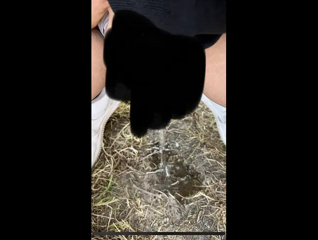 Beim Spaziergang gepisst