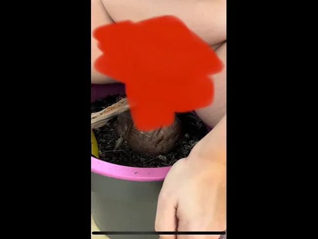 Blumen gießen mal anders