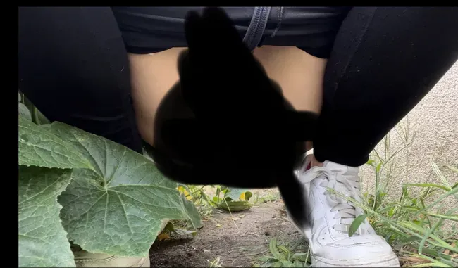 Hinter die mauer gepisst