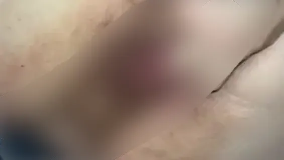 Vor der Webcam Doggy zum Auslaufen gebracht