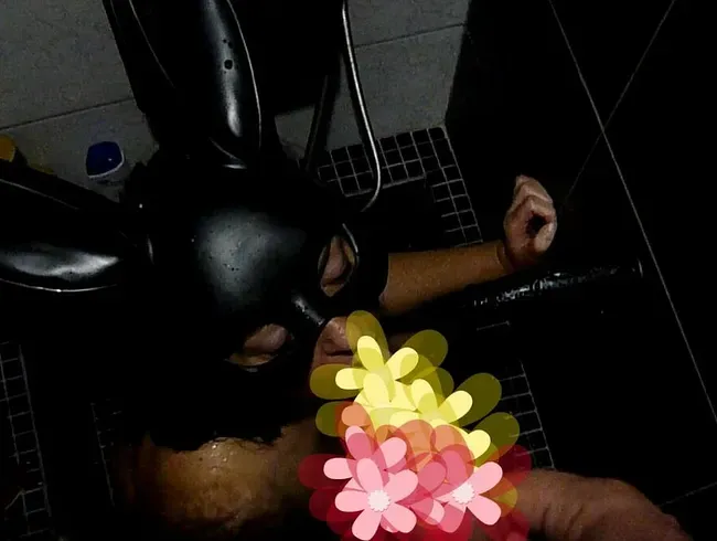 Toilettentraining für meine Frau! Menschliche Toilette und Sperma im Gesicht, Hasenmaske