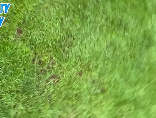 Zwei geile Piss-Clips, Beine breit und los gepisst