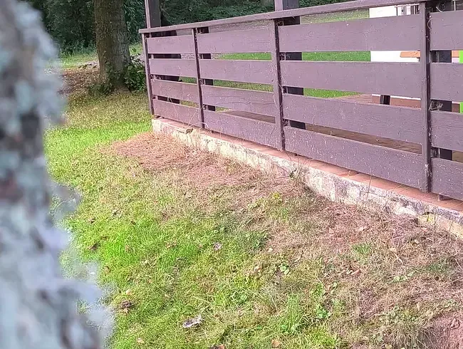 Ich muss einfach immer und überall pinkeln ????