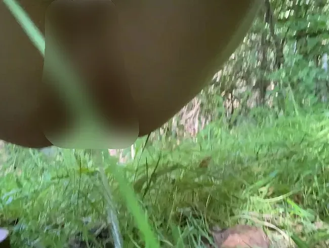 Geiler Wald Piss ( Schöner Sommer Waldpiss, wurde dabei beobachtet)