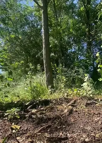 Piss-Handstand-Fontäne